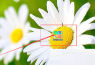 360软件管家怎么查看版本号?360软件管家查看版本号教程