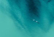 百度网盘怎么查看黑名单?百度网盘查看黑名单方法