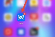 学浪怎么查看侵权投诉指引？学浪查看侵权投诉指引方法