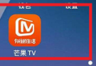芒果TV如何设置允许芒果TV展现活跃状态？芒果TV设置允许芒果TV展现活跃状态的方法
