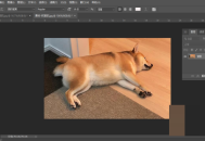 Photoshop图层样式在哪里?Photoshop图层样式查看方法