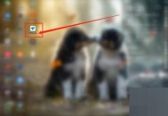 todesk怎么查看版本号?todesk查看版本号教程