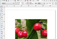 coreldraw位平面效果怎么做?coreldraw位平面效果制作方法