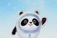 飞常准雷达图怎么查看?飞常准雷达图查看方法