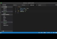 Vscode怎么检测代码潜在问题?Vscode检测代码潜在问题方法
